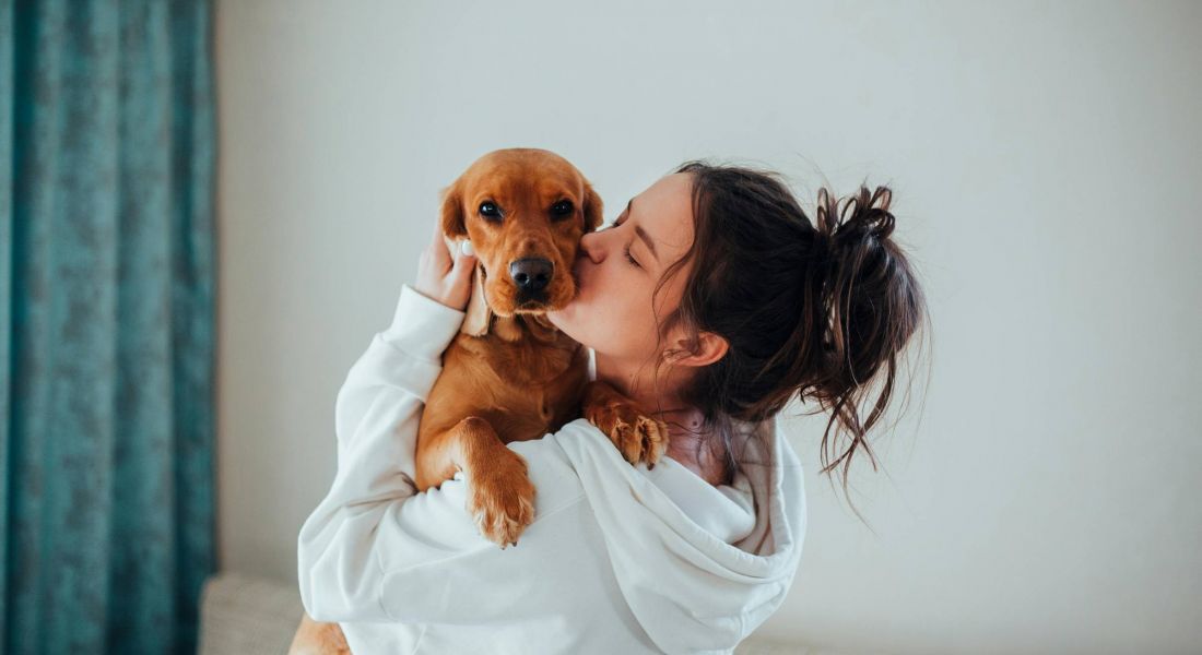 Adorable dog being held by woman in Wheatfield Village apartment.