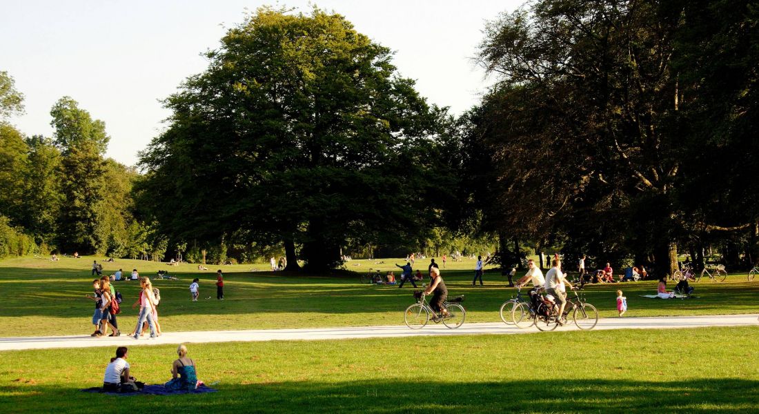 People relaxing and cycling in a park near Wheatfield Village.