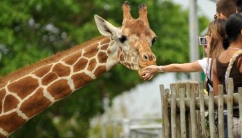 Topeka Zoo & Conservation Center